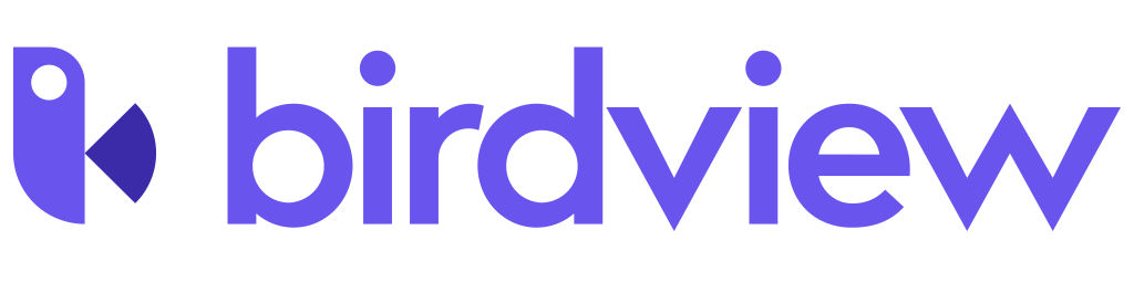 Birdview Logo